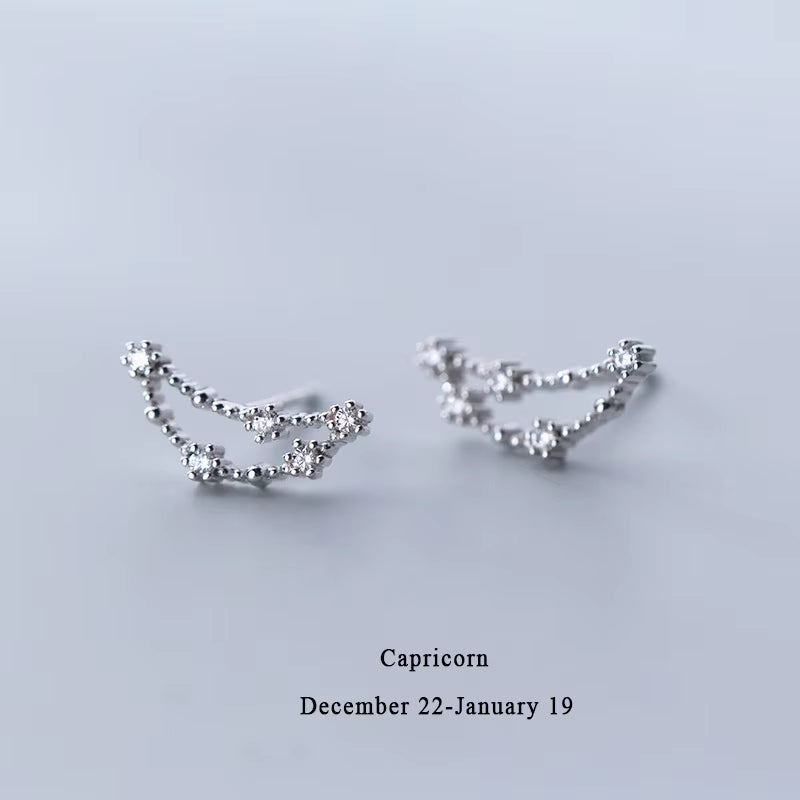 925 Sterling Silver AAA Cublic Zirconia Twelve Constellation Stud Earrings for Women Birthday Gifts
