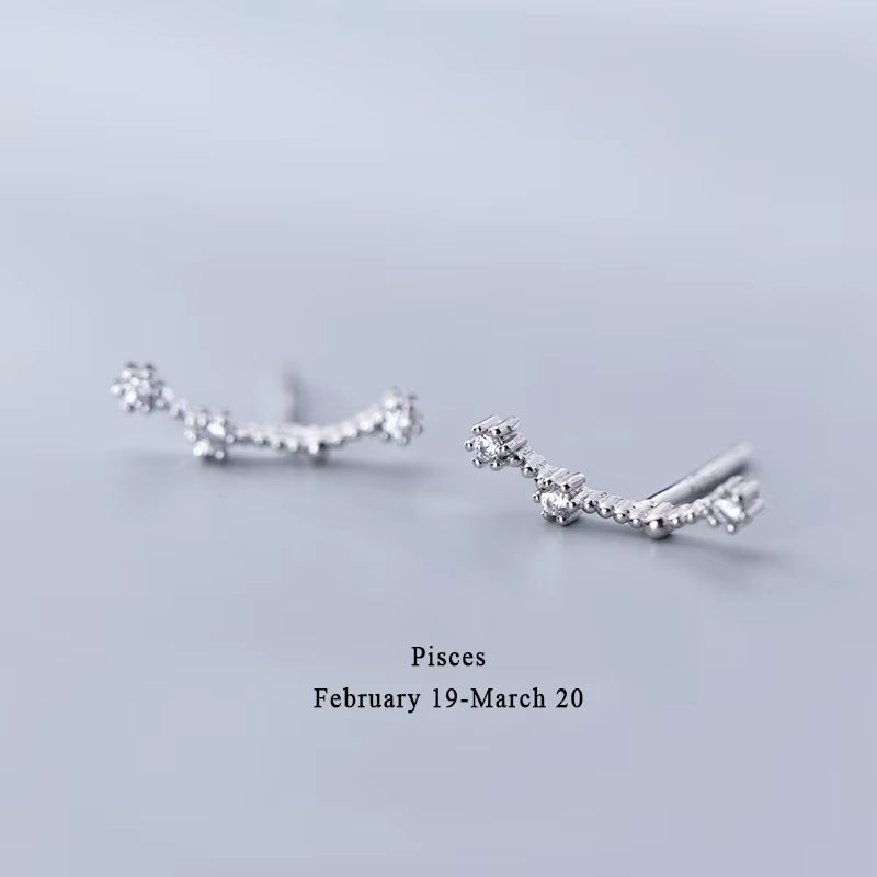 925 Sterling Silver AAA Cublic Zirconia Twelve Constellation Stud Earrings for Women Birthday Gifts