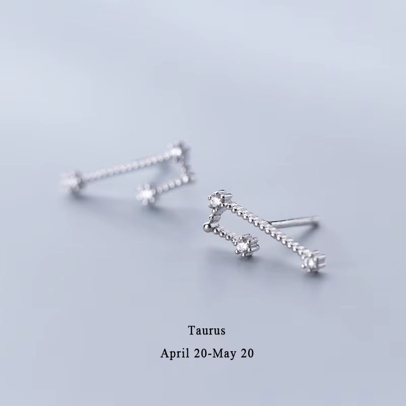 925 Sterling Silver AAA Cublic Zirconia Twelve Constellation Stud Earrings for Women Birthday Gifts