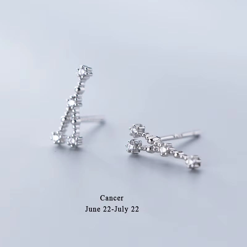 925 Sterling Silver AAA Cublic Zirconia Twelve Constellation Stud Earrings for Women Birthday Gifts