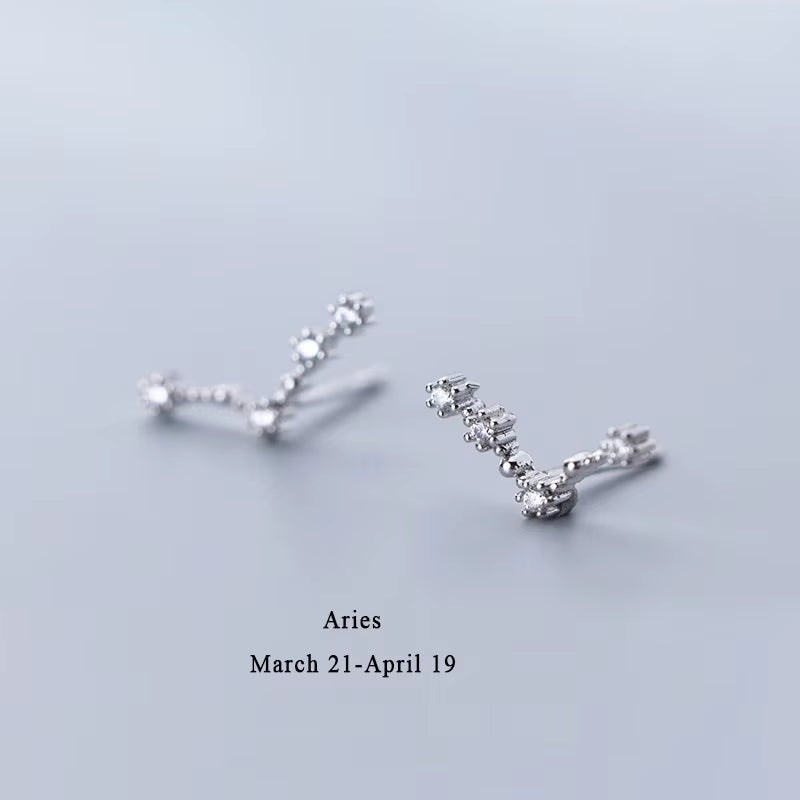 925 Sterling Silver AAA Cublic Zirconia Twelve Constellation Stud Earrings for Women Birthday Gifts