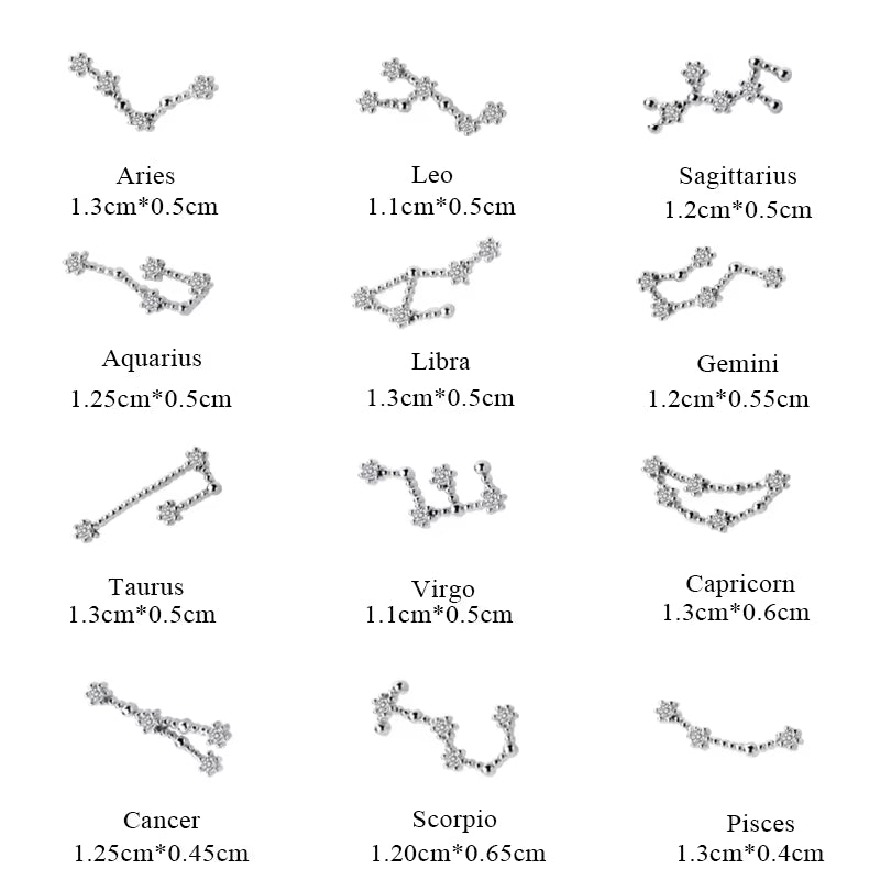 925 Sterling Silver AAA Cublic Zirconia Twelve Constellation Stud Earrings for Women Birthday Gifts