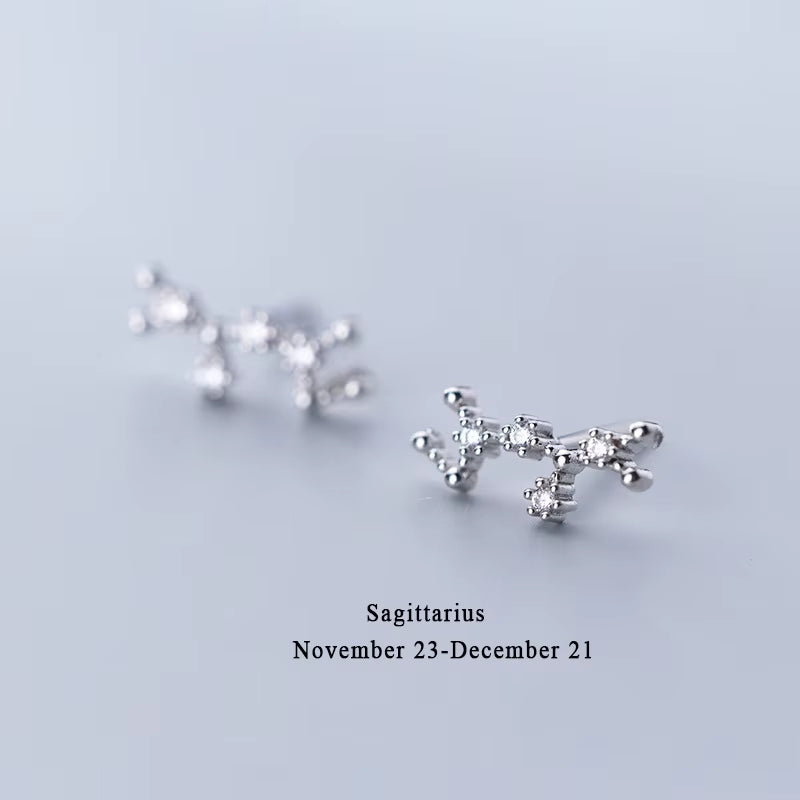 925 Sterling Silver AAA Cublic Zirconia Twelve Constellation Stud Earrings for Women Birthday Gifts